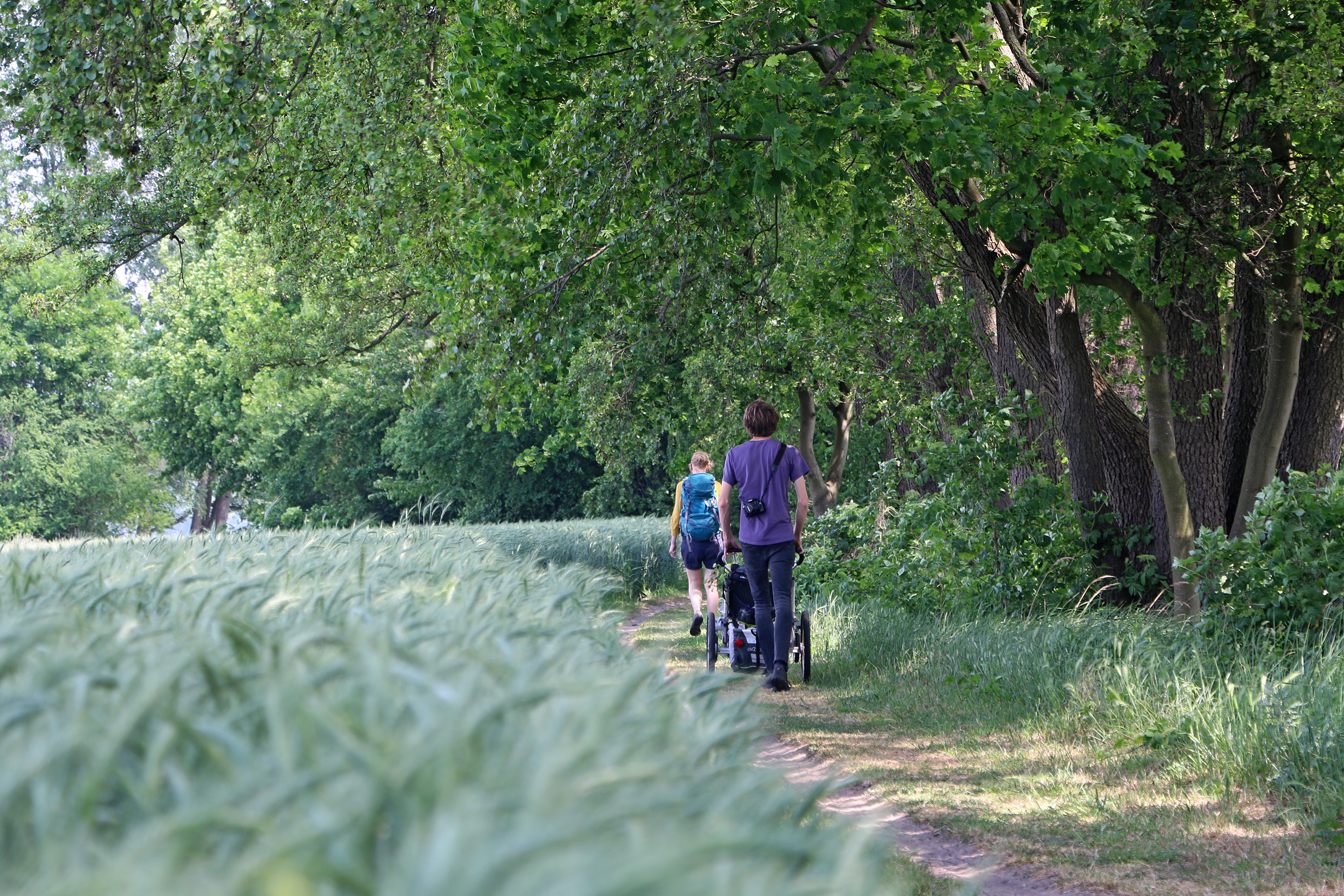 Kyritz_Pavla-Nejezchleba Wandern mit Kindern rund um Berlin - 21 kinderwagenfreundliche Touren (Buch)