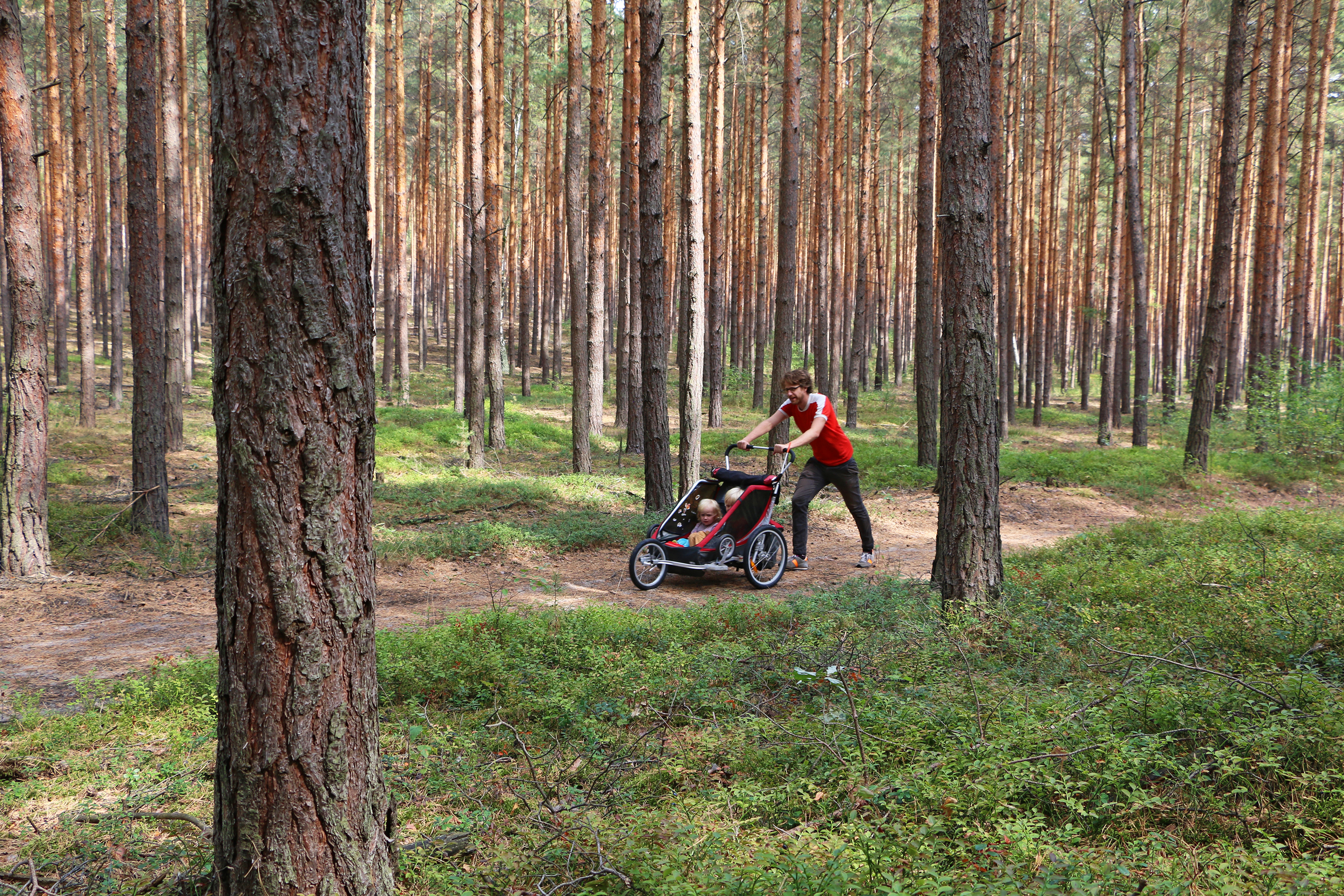 Rauener-Berge_Pavla-Nejezchleba Wandern mit Kindern rund um Berlin - 21 kinderwagenfreundliche Touren (Buch)
